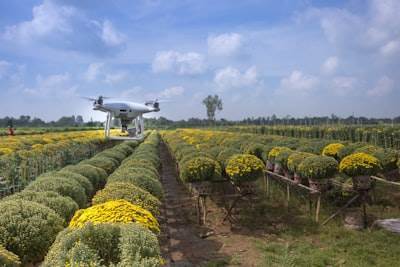 AI en el cielo: Cómo los drones agrícolas están revolucionando la agricultura en 2025