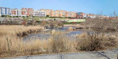 Top 10 Empresas para el desarrollo de aplicaciones en Palencia
