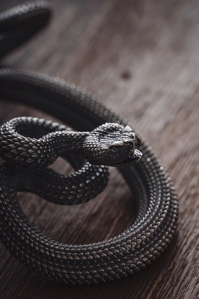 ¡Deja de usar frameworks ciegamente: construye tu propio servidor web en Python desde cero!