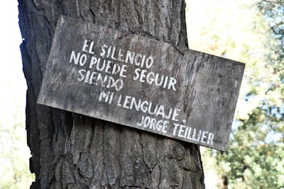 Solucionando este REAL Silent Hill f Caja de Enigma