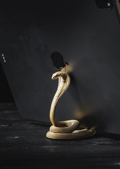 Python vs. Node.js: Usé IA para construir el rastreador de AppSumo en ambas plataformas