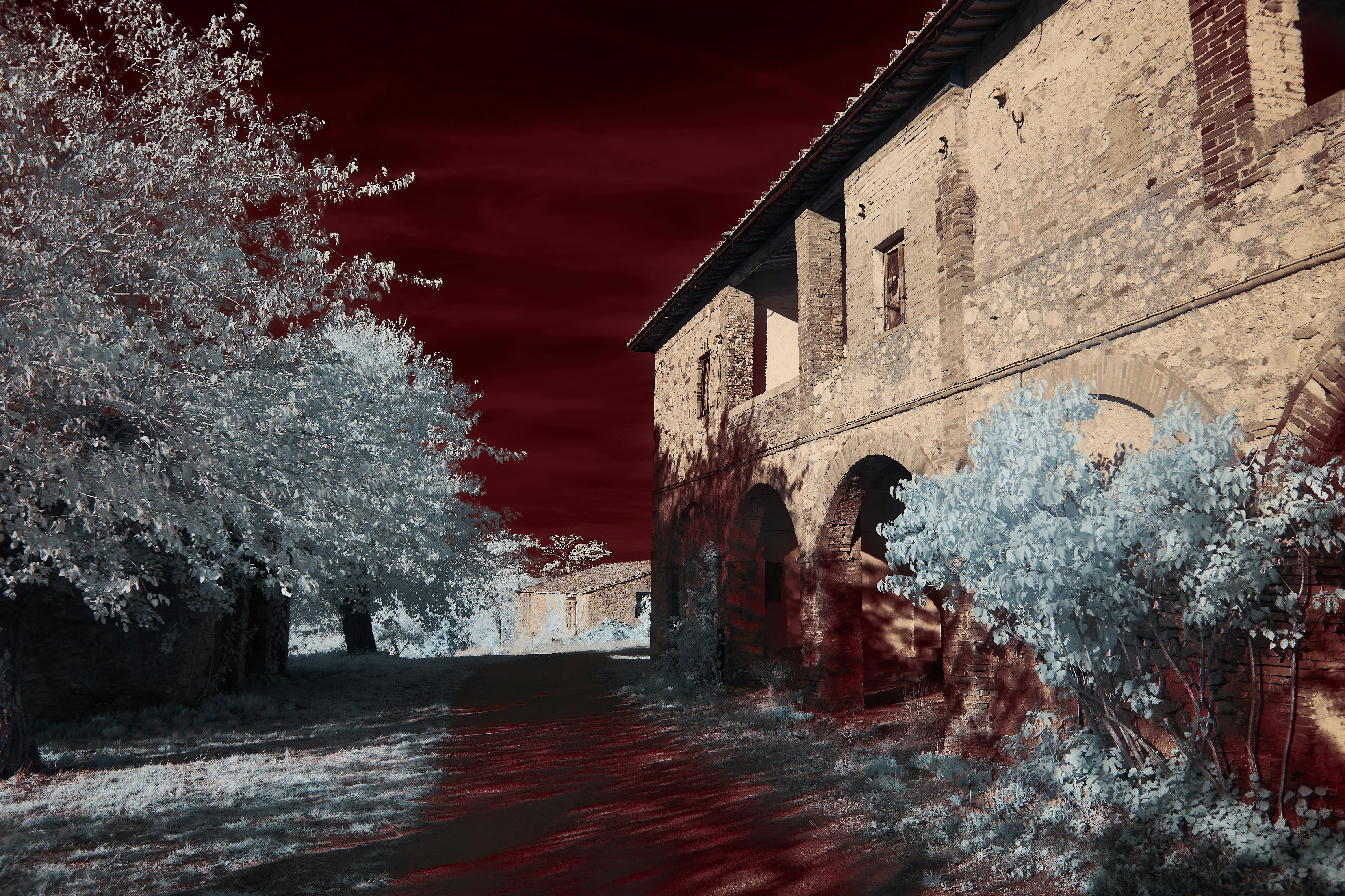 Annuncio Oficial del Juego: Gungrave GORE Sangre Calor - Trailer de TGS 2025 (Español)