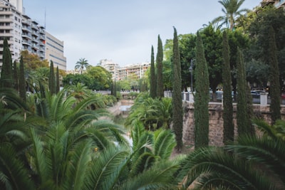 Top 100 Empresas para ventajas de trabajadores agentes en Palma