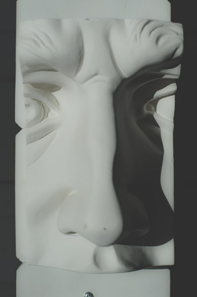 Entrenar un Mask R-CNN para segmentación por instancia con el jardín de modelos de TF