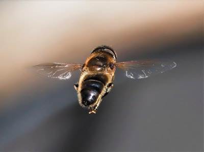 Búsqueda de API semántica de IA: Encuentra cualquier API más rápido - No se necesitan palabras clave exactas