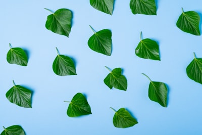  ¿Cómo respalda el desarrollo de aplicaciones certificadas ISO la sostenibilidad y la eficiencia?