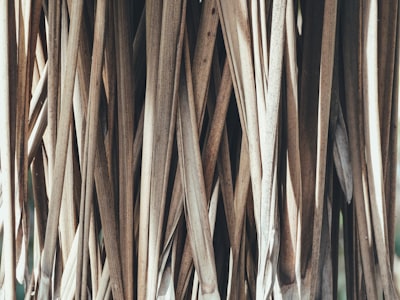 Creación de estructuras de carpetas