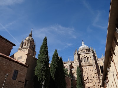 Compañía de servicios de desarrollo de software web a medida en Salamanca