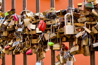 ¿Por qué son esenciales las aplicaciones de gestión personalizadas seguras para tu empresa?