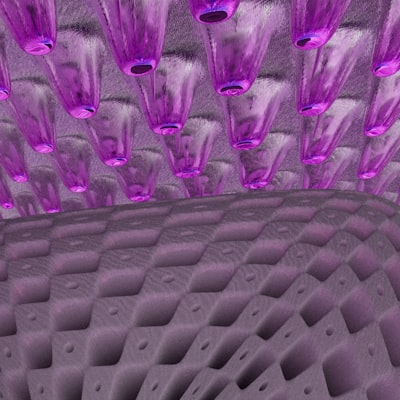 Enhanced siRNA Delivery a través del acústico microflujo-mediado agrupamiento de nanopartículas