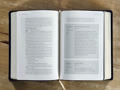 El Protocolo Kali: Arquitectura Editorial para el Rechazo, Purificación y Restauración del Motivo