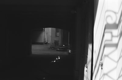 Canciones polifónicas: Las canciones de guerra de Greenwich Village