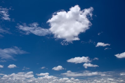 ¿La aplicación web se encuentra alojada localmente o en la nube?