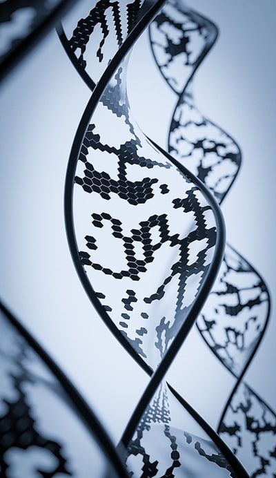 Evolución Matemática: programación genética para regresión simbólica en datos pequeños