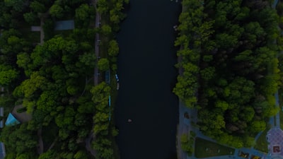 Cómo construir un canal de inteligencia artificial de voz avanzado con WhisperX para transcripción, alineación, análisis y exportación?