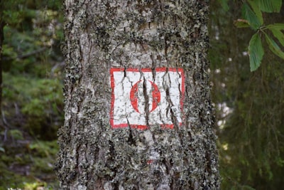 IA para la detección de anomalías en logs: por qué es importante, cómo funciona y qué necesitan saber las organizaciones modernas