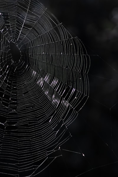 Construyendo una defensa en capas contra el web scraping