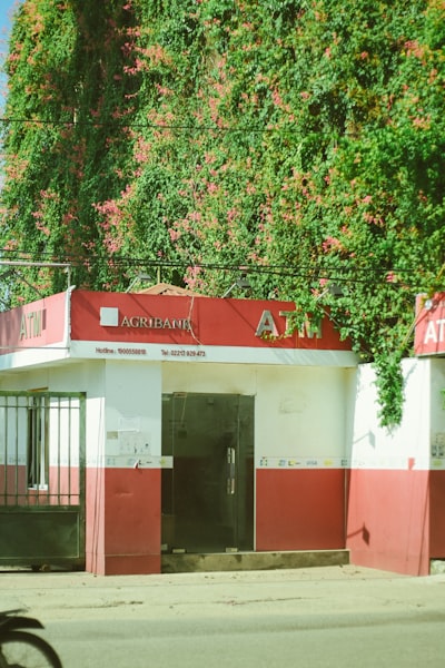 Empresa de servicios de AGENCIA de IA en Tafalla