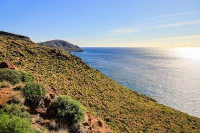 Mejores 10 empresas de consultoría tecnológica en Almería