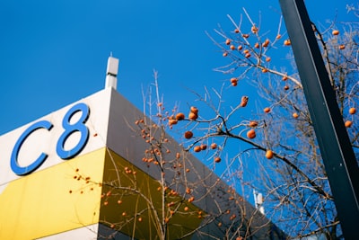 Mejores 50 empresas para servicios de n8n en Plasencia