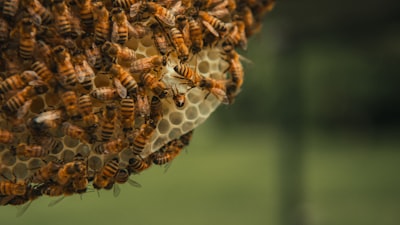 ¿Cómo protege la integración de API para sistemas heredados información confidencial?