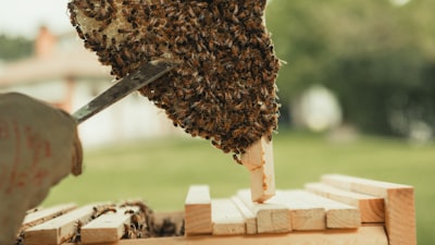 Mejores 5 empresas para servicios de integración de API para negocios en Las Palmas de Gran Canaria