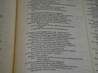 Probando los mejores modelos para codificación agentica