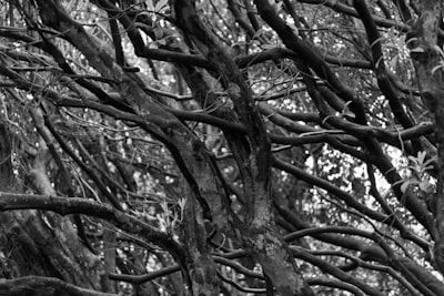 Los 50 mejores expertos en n8n en Tudela de Duero