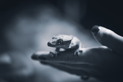 2026: Cuando las armas inteligentes, el dinero criptográfico y la geopolítica reescribieron las reglas del poder
