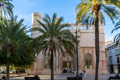  portal de miembros con biblioteca de contenido en Palma