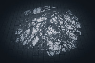 Búsqueda de árbol para agentes de modelo de lenguaje