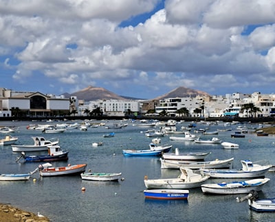  Top 20 Compañías de servicios de software personalizados en Arrecife