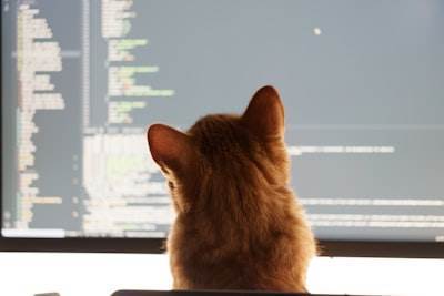 ¿Qué es la externalización de servicios de programación y por qué la necesitas para la optimización de costos?