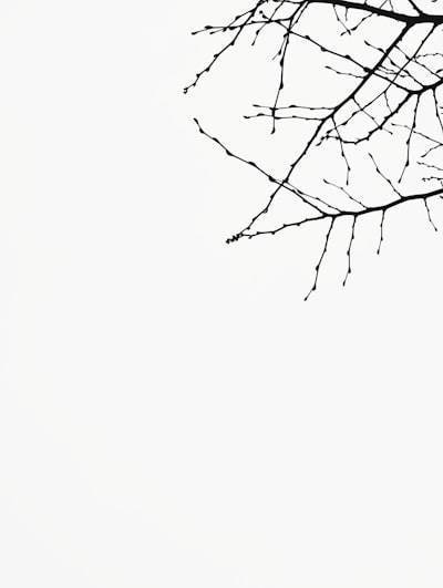 IA y diseño emocional: creando conexiones significativas a través de la estética inteligente