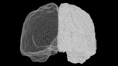  Rendimiento y optimización de modelos de difusión 3D en GPU