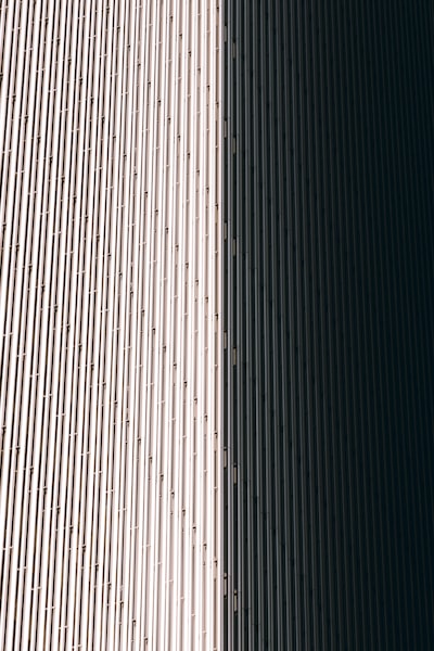 Comparación: software personalizado de alto rendimiento vs Fuera de la estantería: ¿Cuál es mejor para las startups?