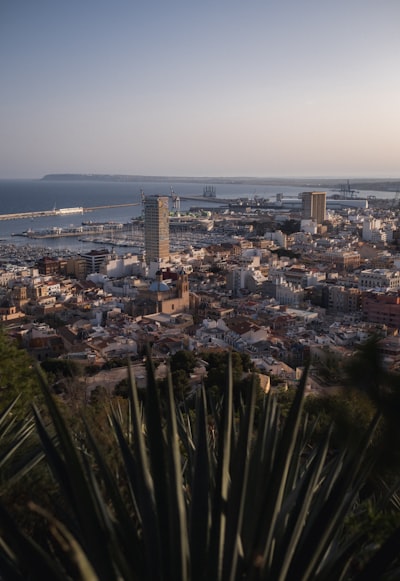 Resumen de la reunión de la empresa de servicios de automatización de Inteligencia Artificial en Alicante