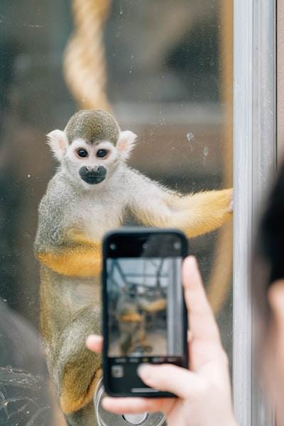 Dentro de la excesiva recolección de datos de una aplicación móvil: Lo que revela nuestro análisis de la extensión Phia Safari
