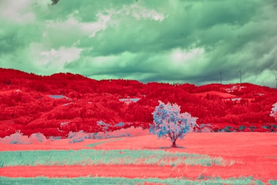 Convirtiendo imágenes generadas por IA en paletas de colores utilizables