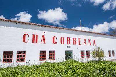  Mejores 50 empresas para consultar en Chiclana de la Frontera
