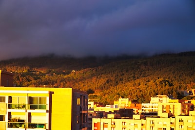 Top 15 Compañías de IA AGENCY en Fuengirola