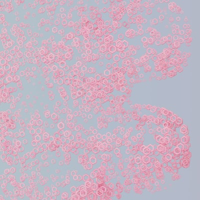 Codificar un Árbol Fraccional con JavaScript y HTML5