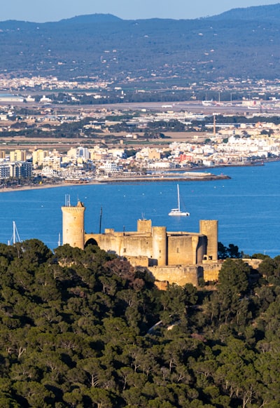 Top 50 Expertos en control de costos automatizado en Palma