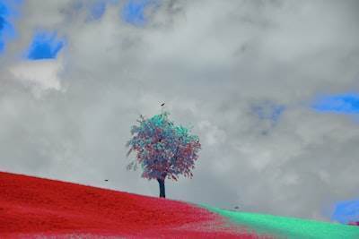 Automatización de la optimización del ACV a través de la IA generativa: Reducción del impacto del ciclo de vida