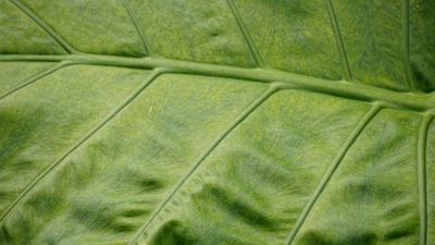  ¿Cómo pasar de las hojas de cálculo al soporte de la automatización apoya la transformación digital?