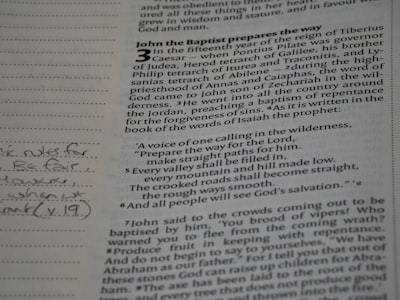 Meta-Autor's Notas: Crónicas Cognitivas de Codie