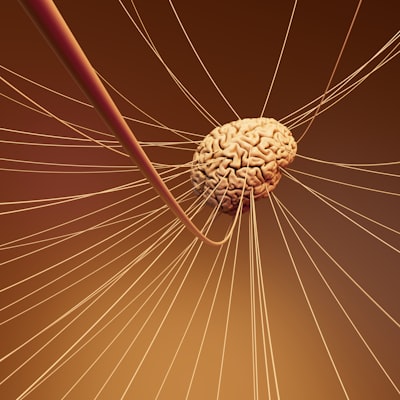  Dinámica del colapso neuronal: profundidad, activación, regularización y umbral
