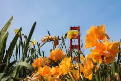 Top 10 empresas para programación de aplicaciones en Santa Cruz de Tenerife