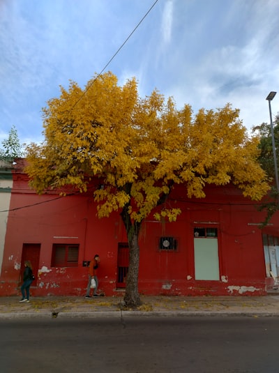 n8n en Santa Lucía de Tirajana