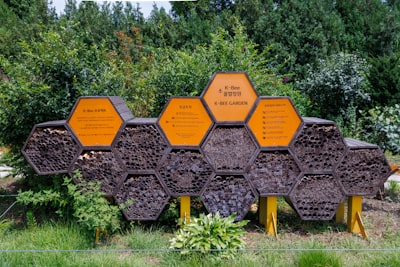 Mejora la visibilidad de la API con el nuevo Portal de Amazon API Gateway